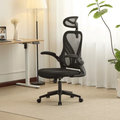 The Range Ascend Adjustable Ergonomic Mesh Back Black Office Chair - Black