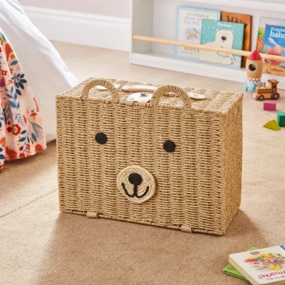 Dunelm Bear Storage Case