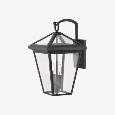 Amara Alford Place Wall Lantern