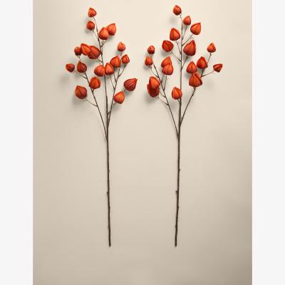 Marks & Spencer Moss & Sweetpea 2 Pack Artificial Chinese Lantern Single Stems - Orange, Orange