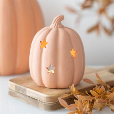 The Range Autumn Glow Terracotta Pumpkin Tealight Holder - Brown