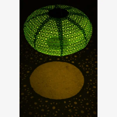 Rockett St George Green Hanging Outdoor Solar Lantern