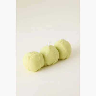 Anthropologie Nata Concept Store Sprouts Candle