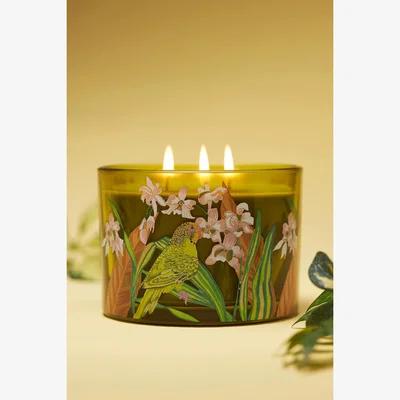 Anthropologie Aria Fresh Hibiscus & Pink Guava Glass Candle