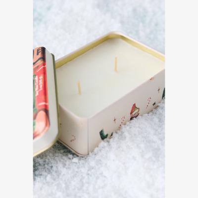 Anthropologie Paddywax Pomegranate Spruce Tin Candle