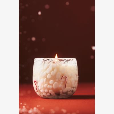 Anthropologie Icon Woody Winter Woods & Vanilla Glass Candle