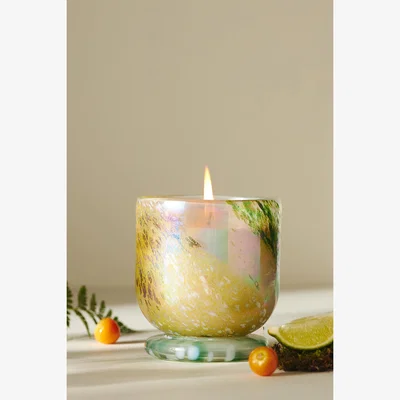 Anthropologie Laney Fresh Fern Moss Cheena Glass Candle