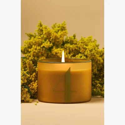 Anthropologie Number 4 Woody White Cedar & Thyme Glass Candle
