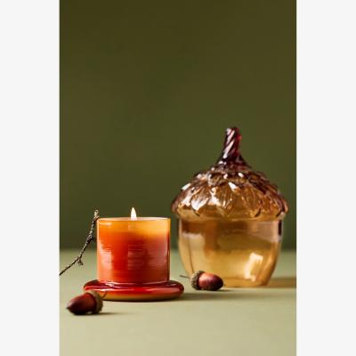 Anthropologie Acorn Spice Vanilla Clove Glass Cloche Candle