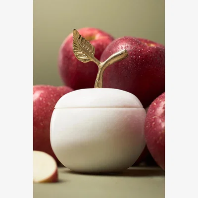 Anthropologie Apothecary 18 Spice Orchard Woods Hand-Carved Apple Marble Candle