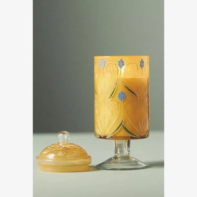 Anthropologie Aurora Fruity Pomegranate Cider Etched Glass Candle