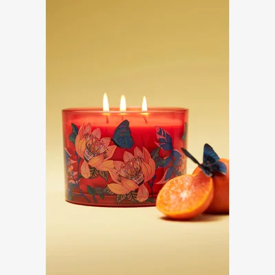 Anthropologie Aria Fruity White Amber Mandarin Glass Candle