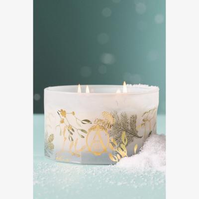 Anthropologie Apothecary 18 Fresh Mistletoe & Moss Low Wide Glass Candle