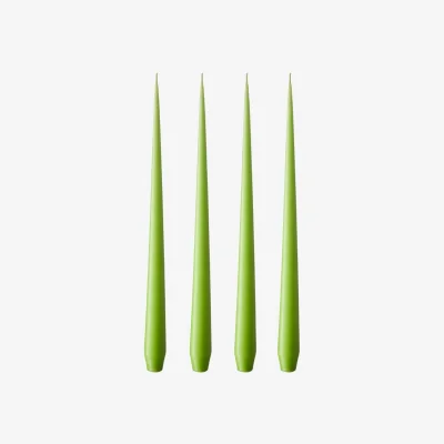 Casa by JJ Olivia's Apple Bite Large Taper Candles