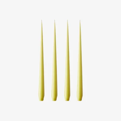 Casa by JJ Olivia's Wasabi Large Taper Candles - Ester & Erik