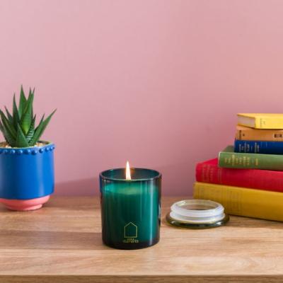Dunelm Elements Grapefruit & Wild Mint Candle