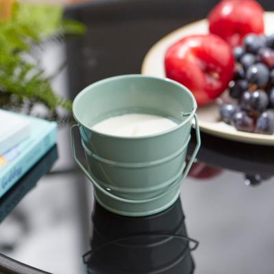 Dunelm Basic Citronella and Eucalyptus Oil Mini Bucket Candle Lilypad