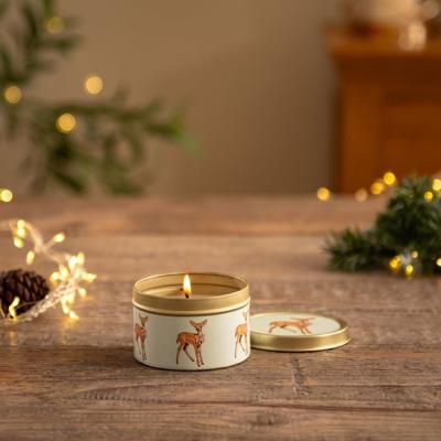 Dunelm Deer Spiced Cookie Tin Candle