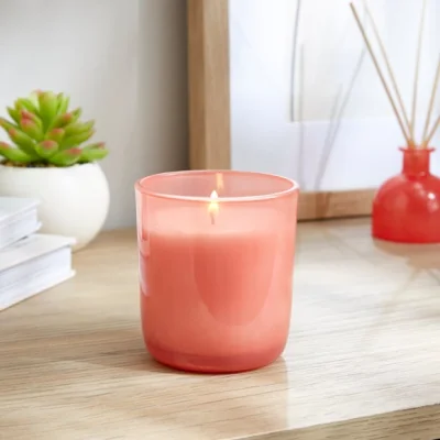 Dunelm Raspberry & Rhubarb Candle