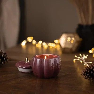 Dunelm Mulberry & Rhubarb Ceramic Pumpkin Candle