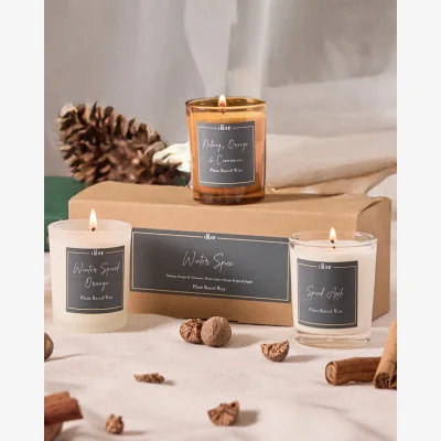 Dibor Winter Spices Set of 3 9cl Candles