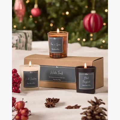 Dibor Winter Fruits Set of 3 9cl Candles