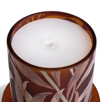 Habitat Habitat x Morris & Co. Oak & Fallen Acorn Small Glass Candle