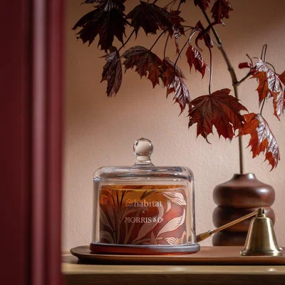 Habitat Habitat x Morris & Co. Oak & Fallen Acorn Large Glass Candle