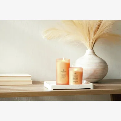 Habitat Chesapeake Bay Large Jar Candle - Grapefruit Mango
