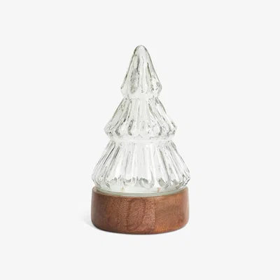 Habitat Habitat Mango Tree Small Topper Candle - Frosted Cedar
