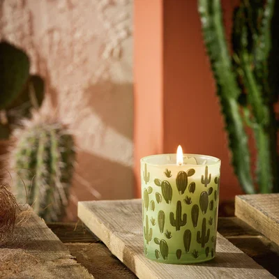 Habitat Habitat Small Boxed Candle - Texas