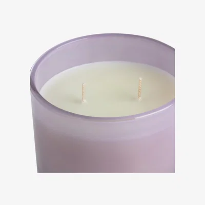 Habitat Habitat Large Multi Wick Candle - Jasmine & Pineapple Flower