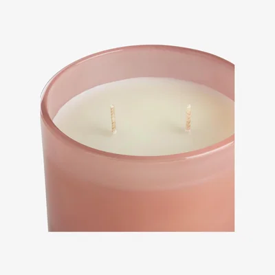 Habitat Habitat Large Multi Wick Candle - Patchouli & Amber