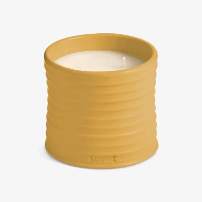 John Lewis LOEWE Wasabi Medium Scented Candle, 610g