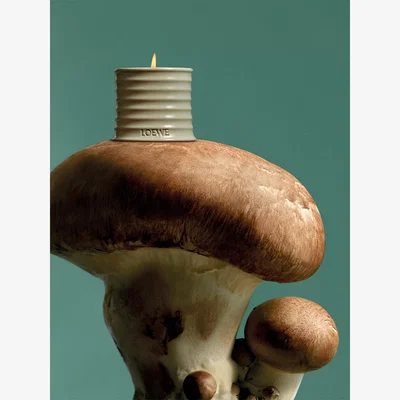 John Lewis LOEWE Mushroom Medium Scented Candle, 610g