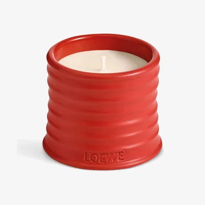 John Lewis LOEWE Tomato Leaves Small Scented Candle, 170g