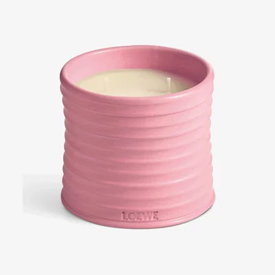 John Lewis LOEWE Ivy Medium Scented Candle, 610g