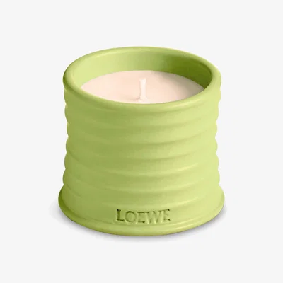 John Lewis LOEWE Cucumber Small Scented Candle, 170g
