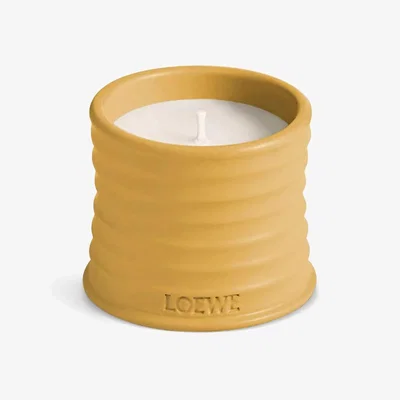 John Lewis LOEWE Wasabi Small Scented Candle, 170g