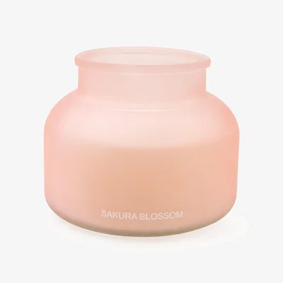 La Redoute Sakura Blossom Frosted Candle