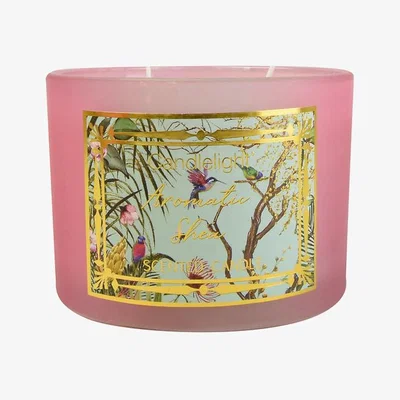 La Redoute Chinoiserie Aromatic Shea Two Wick Wax Filled Candle Pot
