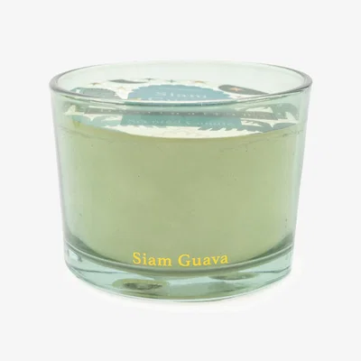 La Redoute Siam Guava Multi Wick Candle