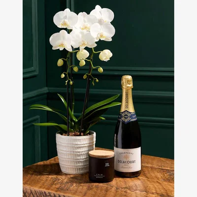 Marks & Spencer M&S Collection Cascaded Orchid with Champagne & Scented Candle