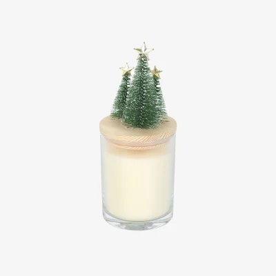 The Range Something Different Bah Humbug Orange And Clove Candle - White/Green