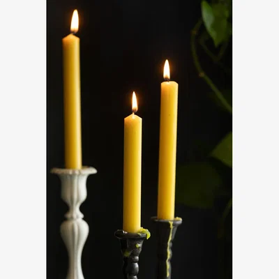 Rockett St George Set of 6 Dinner Candles In Ochre