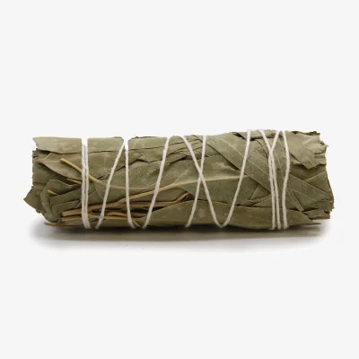 The Range Smudge Stcik Sage  Eucalyptus Pure - Green