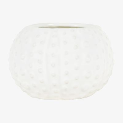 The Range Sea Breeze Shell Candle - White