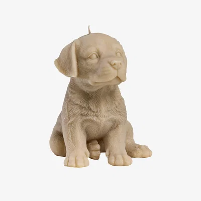 Wolf & Badger Neutrals Labrador Candle Blonde | One Size | Love Ally