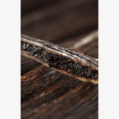 Wolf & Badger Brown / Neutrals Vanille Candle | Defrei