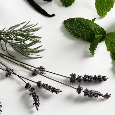 Wolf & Badger White Iris & Mint Bed & Bath Mist | London & Avalon